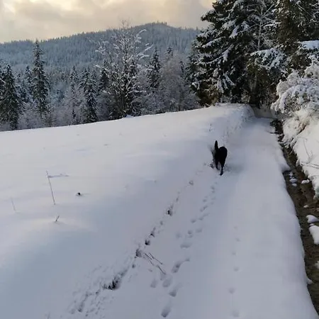 Дом отдыха Izbecka